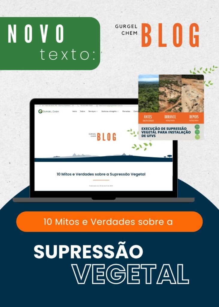 10 Mitos e Verdades sobre a Supressão Vegetal