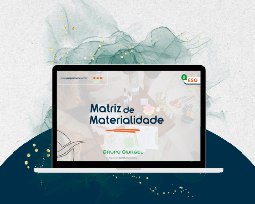 Curso: Construindo e Desvendando a Matriz de Materialidade.​