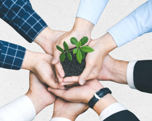 Da Grande Muralha Verde à Caatinga: Lições para Regenerar.