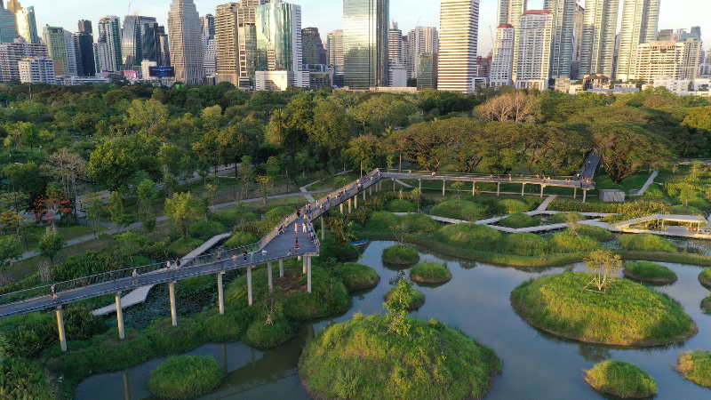 Cidades-Esponja: A Solução para o Futuro.