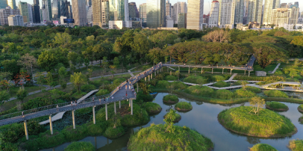 cidade esponja Parque Floresta Benjakitti - 800 - FOTO Srirath Somsawat - Turenscape